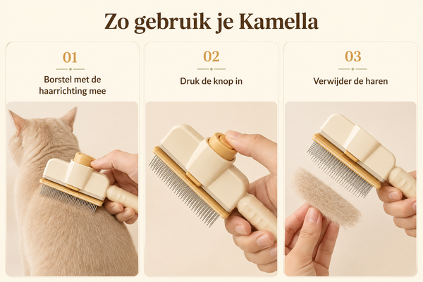 Hoe het werkt