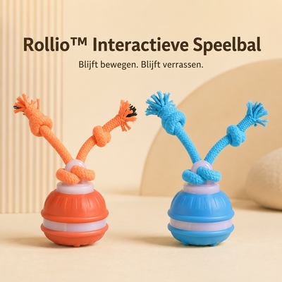 Rollio Interactieve Speelbal in oranje en blauw