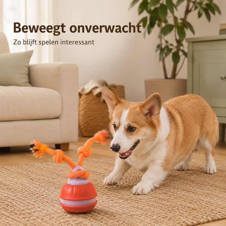 Hond speelt met de bewegende Rollio speelbal