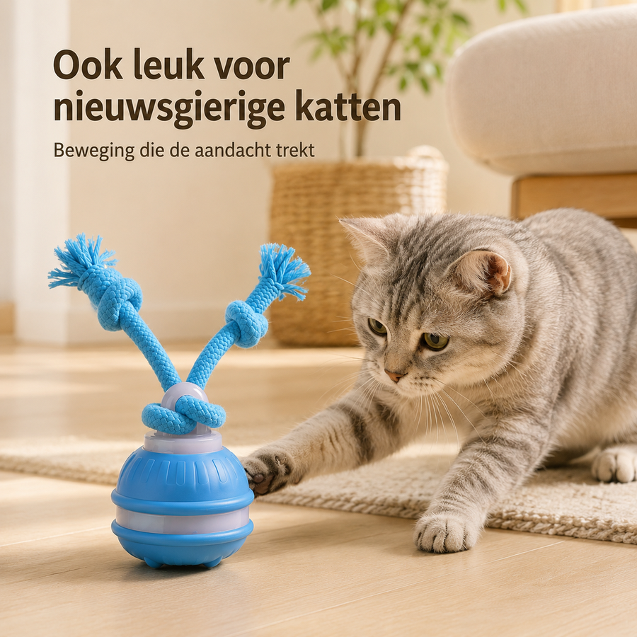 Kat speelt met de bewegende Rollio speelbal