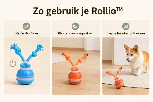 Hoe het werkt