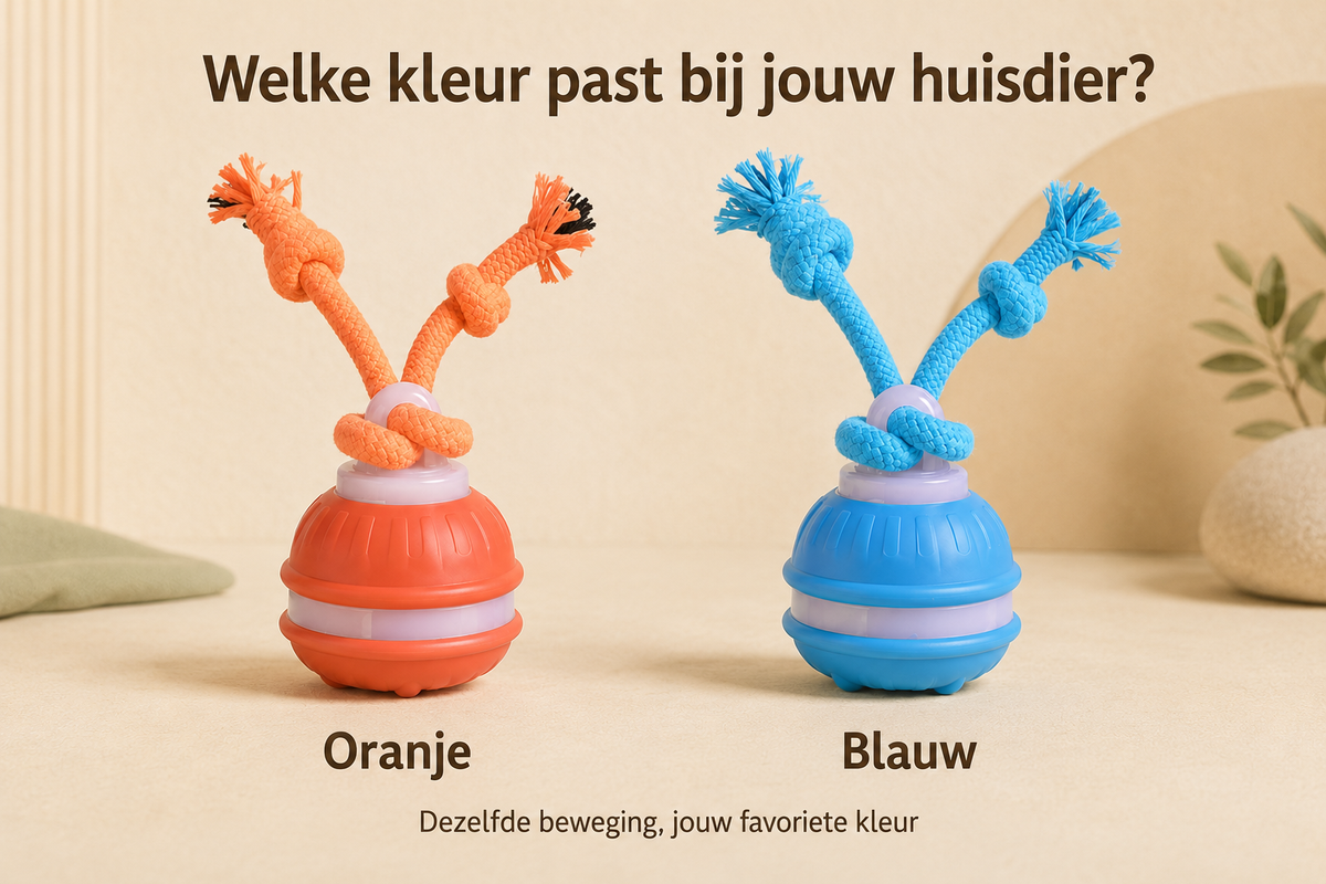 Rollio in oranje of blauw - kies je kleur #voor-reviews