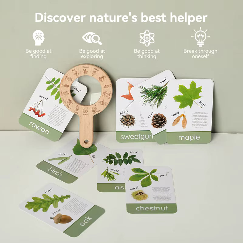 Kind ontdekt natuur buiten met houten vergrootglas en identificatiekaarten