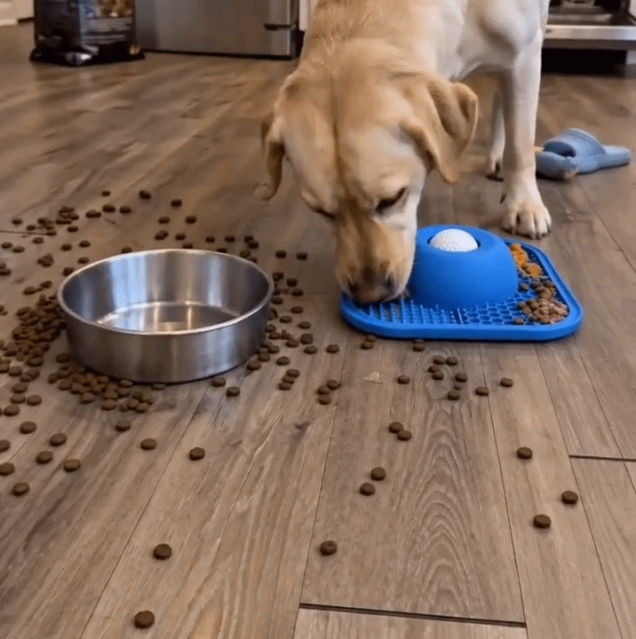 Calmio Slow Feeder Eetbak in actie - hond eet rustig #hoe-het-werkt